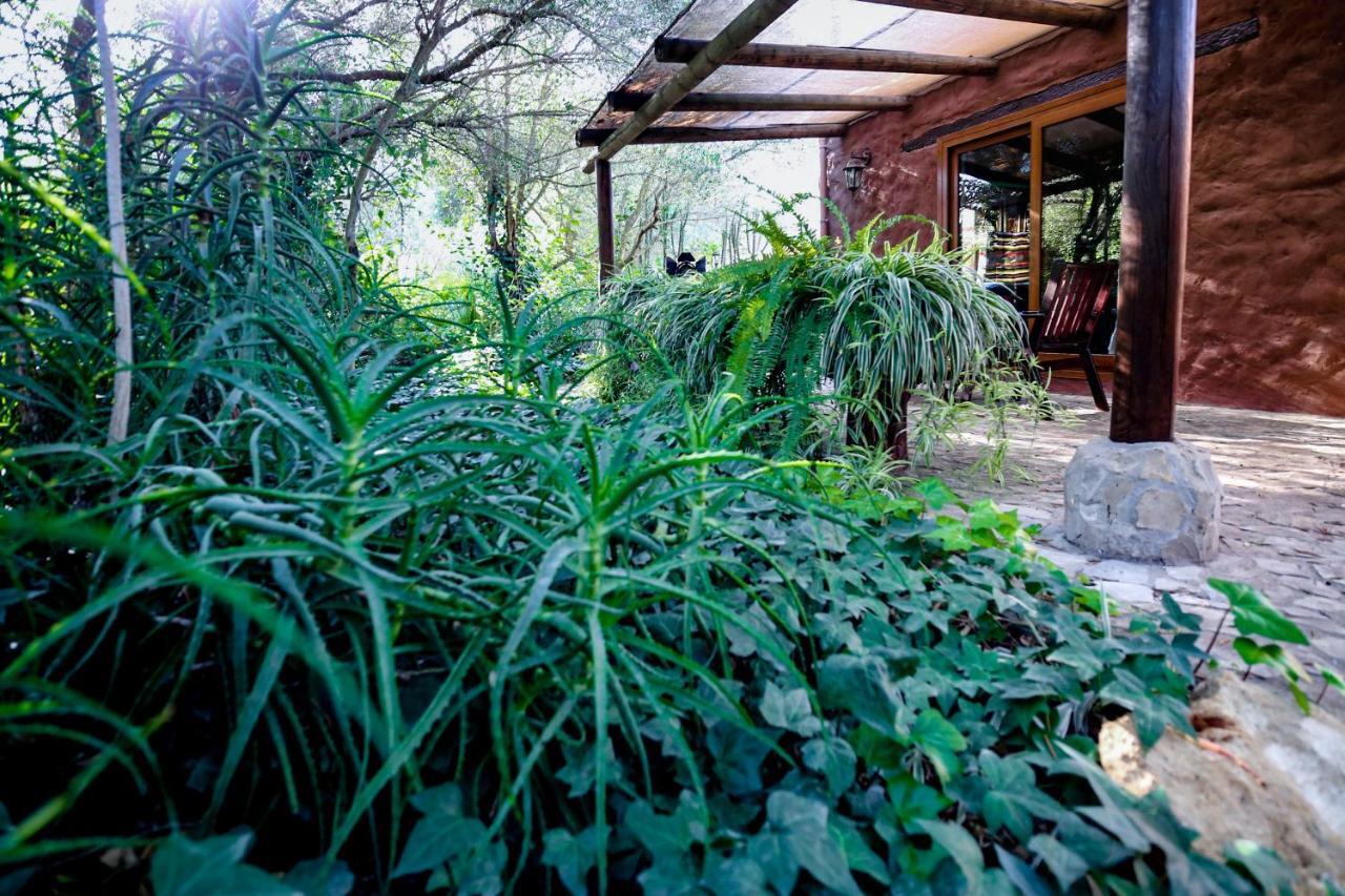Tikal Boungalows Hotel Malcocinado  Exterior photo